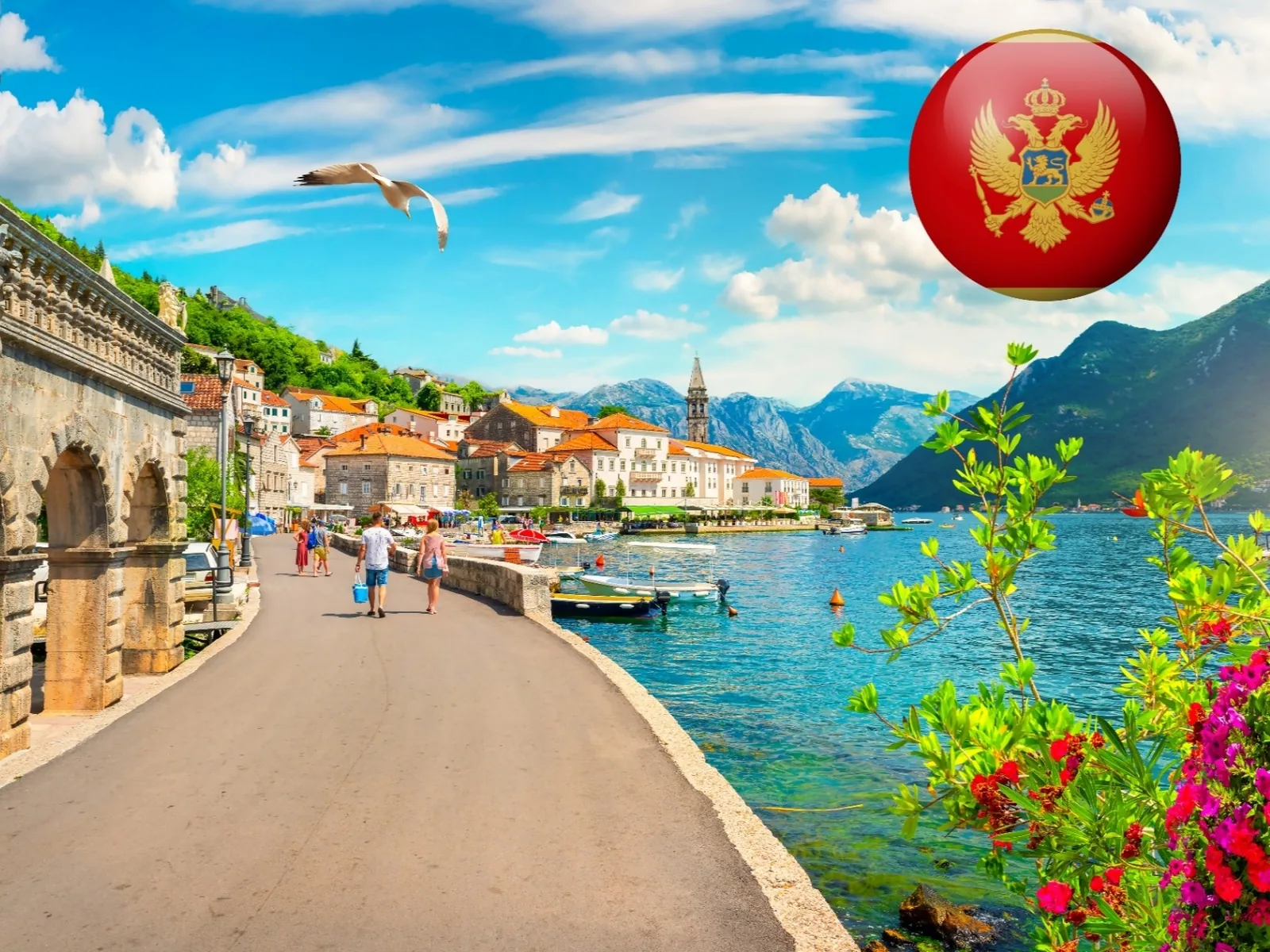 فرصة تطوع ممولة بالكامل في مونتينيغرو لعام 2026