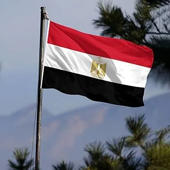 دراسة التمريض لحملة الثانوية العامة (أدبي) - الجامعة البريطانية في مصر