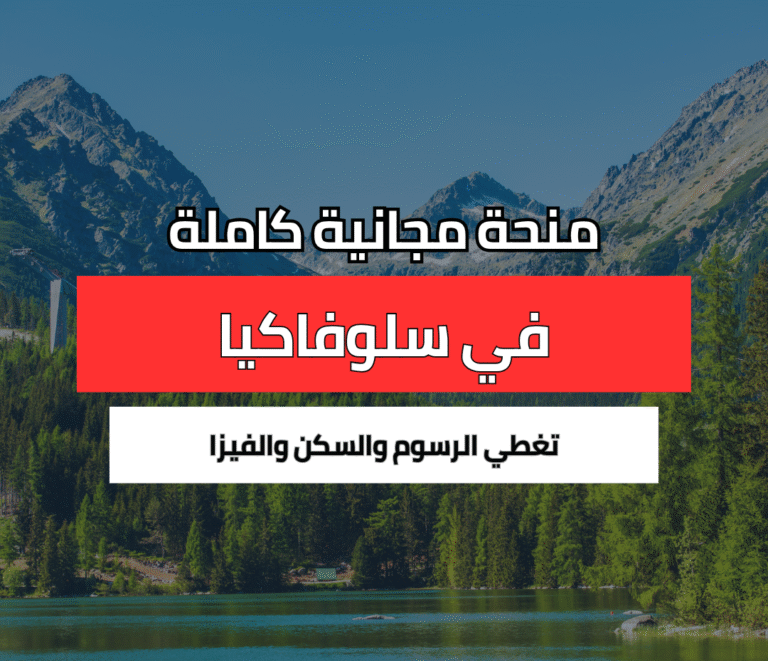 منحة كلية الإدارة في سلوفاكيا (VŠM)