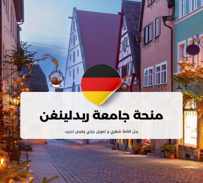 منحة جامعة ريدلينغن للعلوم التطبيقية - كلية الاقتصاد