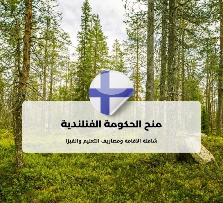 منح جامعة فنلندا للتعليم العالي
