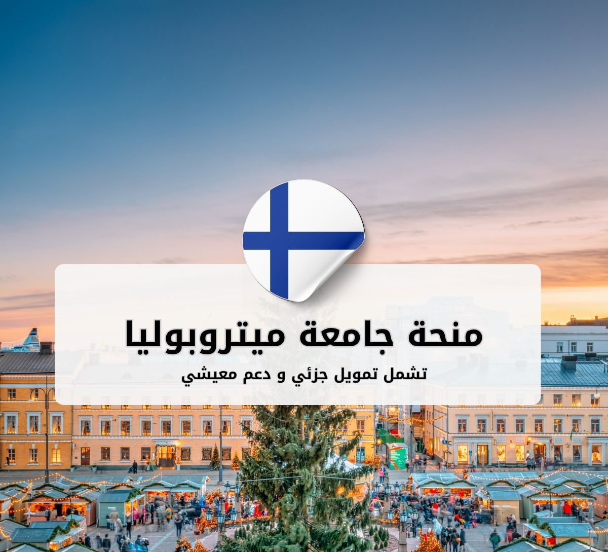 منحة جامعة ميتروبوليا للعلوم التطبيقية في فنلندا