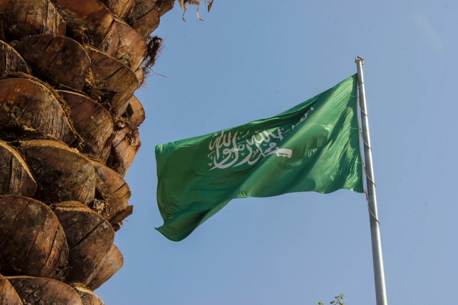 منحة جامعة بيشة للدراسة في المملكة العربية السعودية