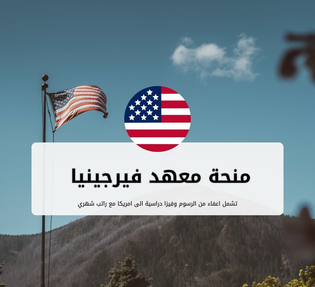 منحة جامعة تكساس في تايلر (UT Tyler)